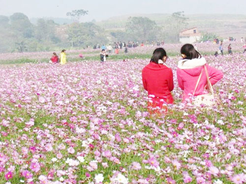 親子活動樂園