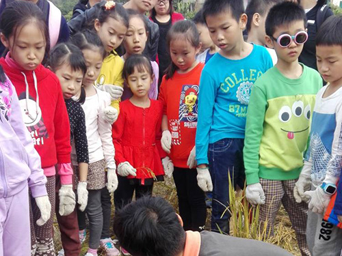 親子樂園