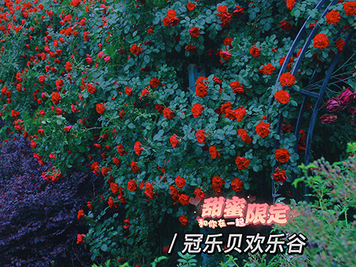 景區(qū)現(xiàn)場(chǎng)